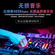 车载音乐下载网站-车载音乐资源百度网盘-车载必备DJ音乐下载