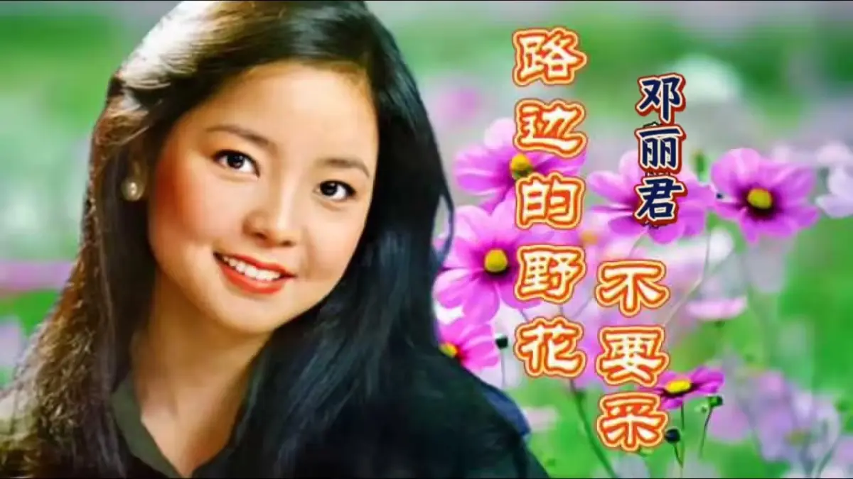 邓丽君经典歌曲200首合集下载-邓丽君精选歌曲无损音乐专辑下载
