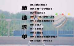 车载u盘资源打包下载-最新车载无损音乐mp3下载-车载音乐CD歌曲