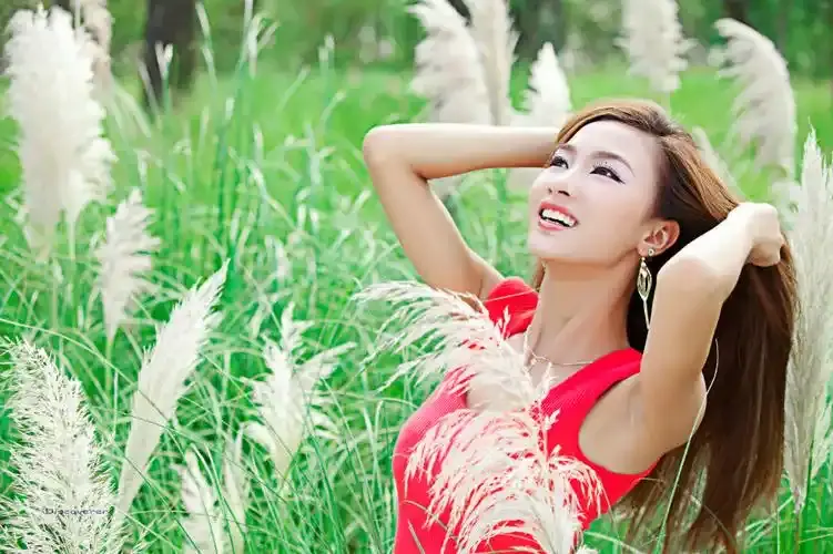顶级发烧人声试音碟-音乐发烧友必听歌曲100首顶级人声歌曲下载