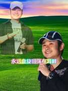 刀郎[2001-2025]所有专辑全部歌曲无损FLAC/MP3百度云盘下载