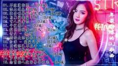 最新酒吧劲爆dj舞曲蹦迪合集-夜店DJ舞曲大全-夜店100首劲爆dj下载