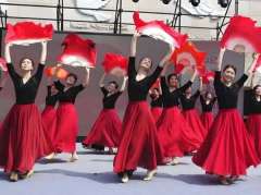 最新广场舞视频打包下载-广场舞视频大全新舞视频下载