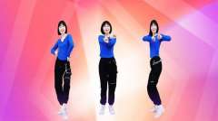 广场舞8000个舞曲大全下载-免费广场舞视频下载-最新广场舞视频打包下载