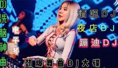 车载dj歌曲2025最火DJ舞曲串烧大全-最新开车必听100首中文DJ下载