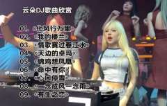 车载音乐加长版歌曲下载-极致享受，一路相伴