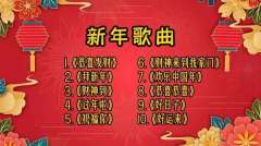 难忘今宵喜庆歌曲配乐下载-喜庆的歌曲经典老歌大合集