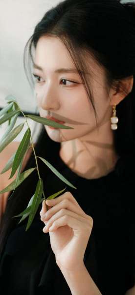 血歌曲下载-从革命历史到现代情感的红色旋律