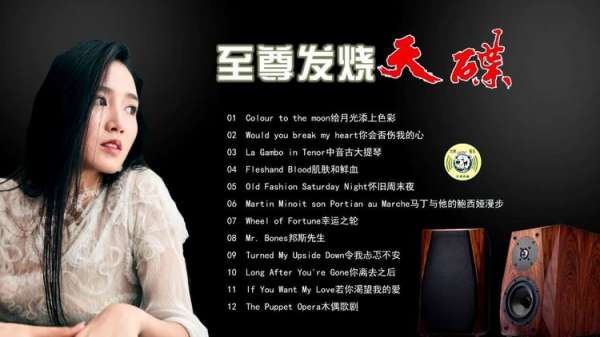 发烧人声黑胶顶级HIFI100倍音质-最好听的发烧人声歌手作品合集