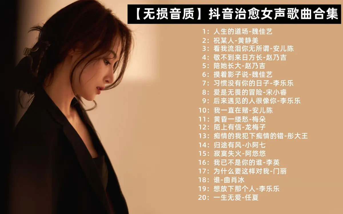 Wota歌曲下载-燃爆现场的二次元音乐盛宴