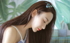 推荐歌曲论坛-探寻华语乐坛的宝藏与未来