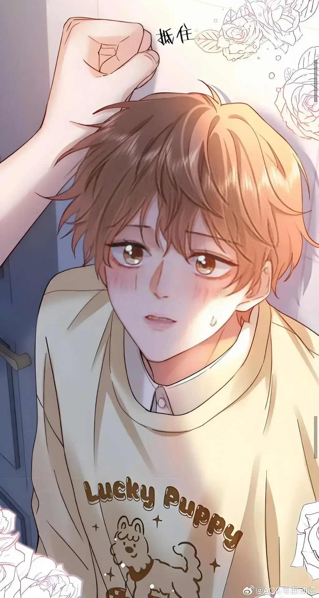 《可爱过敏原》漫画特典免费阅读下拉式漫画纯净式阅读-可爱过敏原漫画免费阅读下拉观看