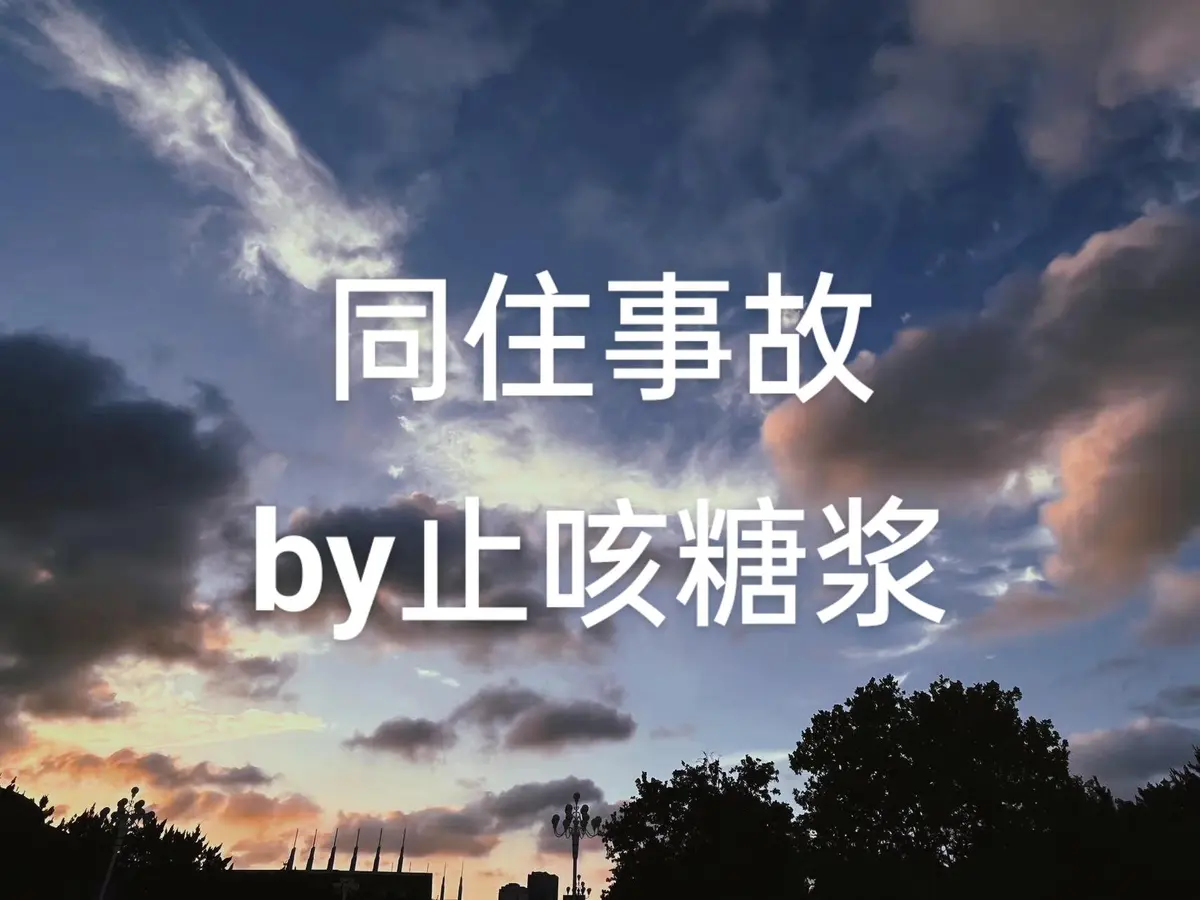 小说推荐《同住事故》by止咳糖浆 精校版番外全集未删减TXT完整版_同住事故最新章节全本完整