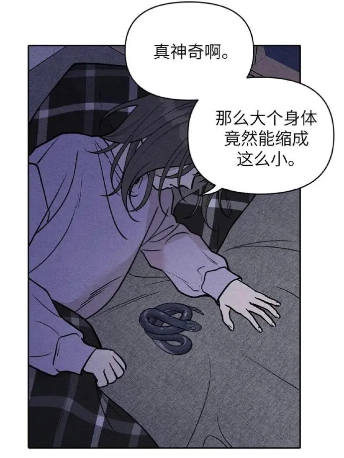 BG韩漫《下班路上捡到蛇》台版漫画1-12话全汉化未删减_下班路上捡到蛇漫画免费阅读下拉观看_下班路上捡到蛇漫画最新章节PDF资源汉化完整版