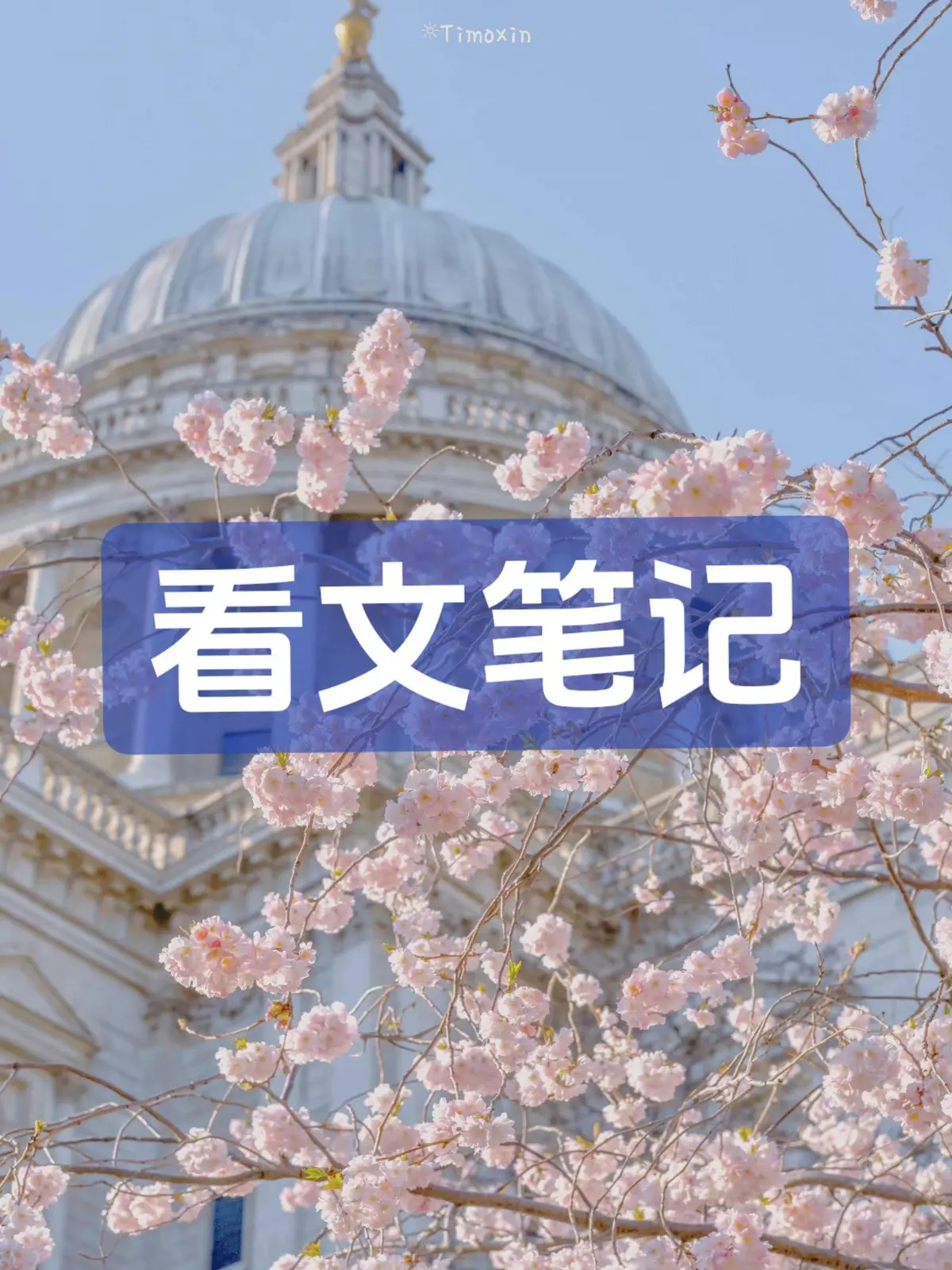 穿书后我被主角受强制爱了小说by东渡日txt〡穿书后我被主角受强制爱了by南下全文小说〡穿书后我被主角受强制爱了最新章节〡东度日小说作品集在线阅读