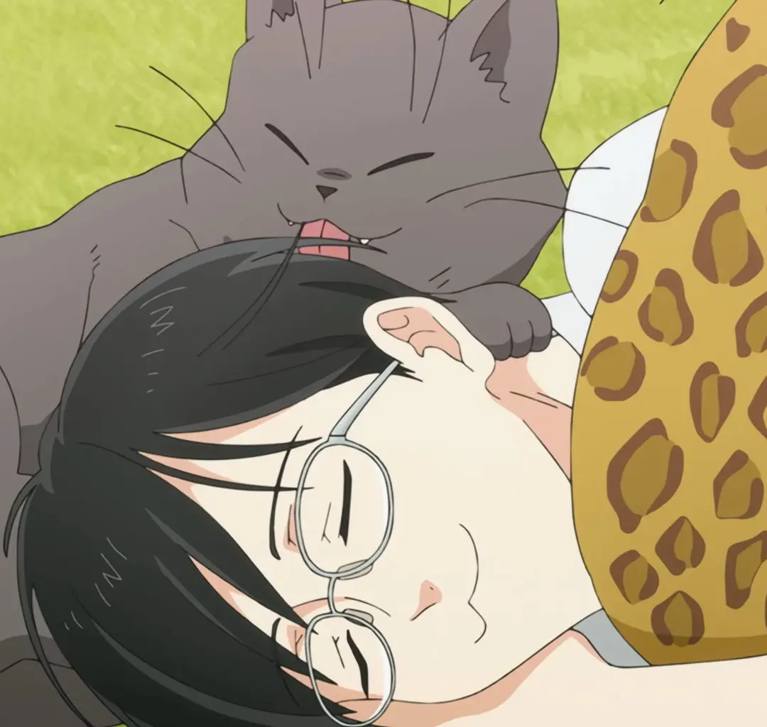 《想变成猫的田万川君》动漫在线观看高清完整版百度网盘资源_想当猫田万川君1-12集全集播放_猫になりたい田万川免费观看