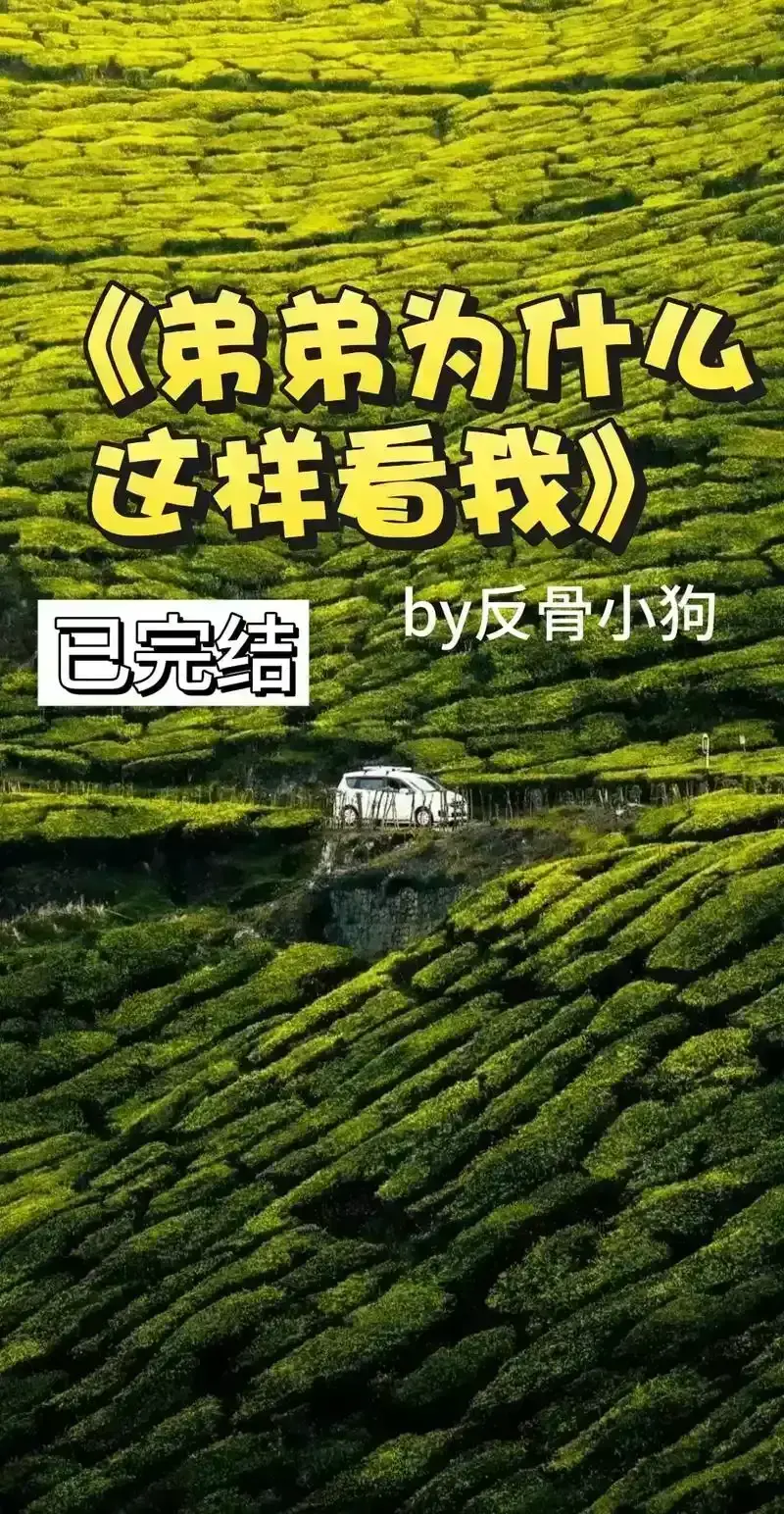 《弟弟为什么这样看我》作者:反骨小狗 未删减番外全_我弟为何这样看我by反骨免费阅读番外完整小说TXT下载