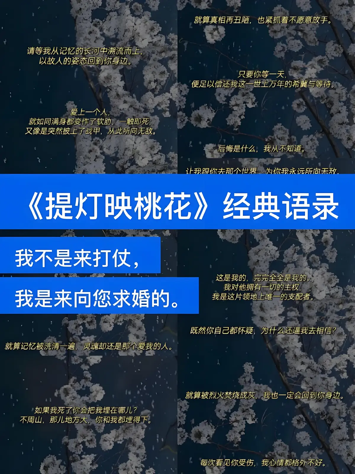 小说推荐《提灯映桃花》by淮上 未删减番外TXT全本_提灯映桃花未删减番外免费阅读_提灯映桃花最新章节番外完整版网盘资源分享