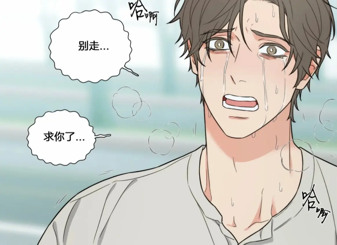 虐美人Sadistic Beauty/囚笼之爱原版漫画资源-虐美人正传免费漫画在线阅读全集-虐美人漫画外传AB下拉式