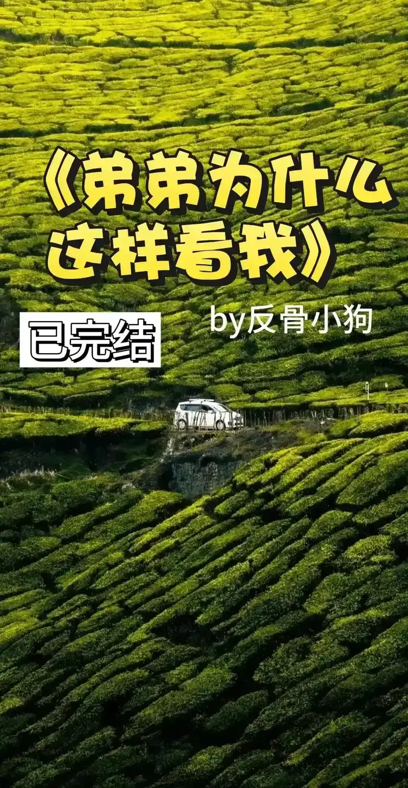 弟弟为什么这样看我txt反骨小狗最新章节-弟弟为什么这样看我by反骨小狗在线阅读免费全文下载-弟弟为什么这样看我番外完整版txt百度网盘资源